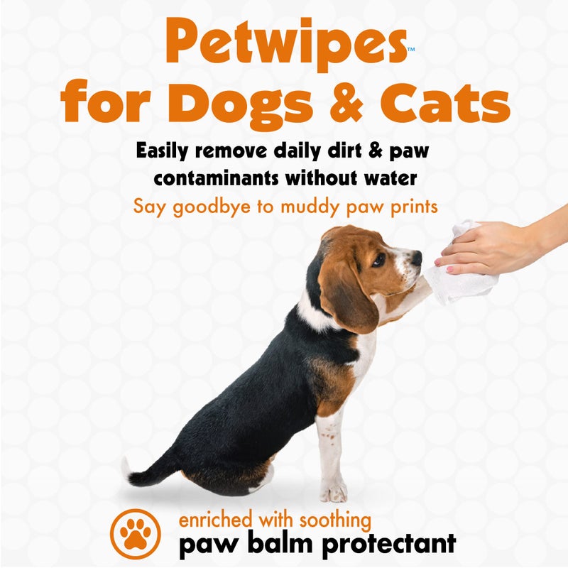 Petkin Big N' Thick Paw Wipes for Dogs, 100 Large Wipes - Clean Dirty Paws After Muddy Walks, with Paw Balm Protectant - Keep Floors and Furniture Clean - Ideal for Home or Travel - Orange Scent - Image 3